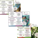illustration infographie 03